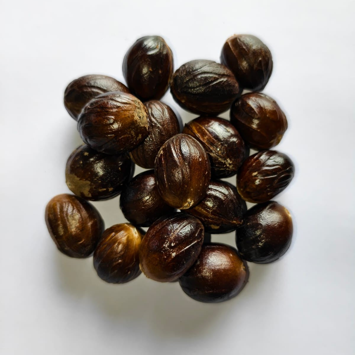 Nutmeg with Shell