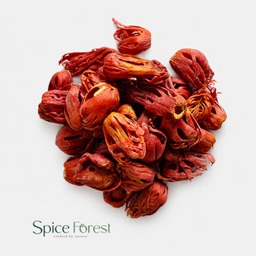 Mace Flower Red